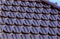 lau1.jpg (9374 Byte)