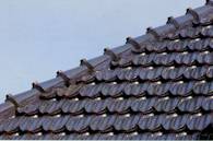 lau2.jpg (6508 Byte)